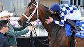 Messier May Join Dutrow Stablemate White Abarrio In Met Mile After Westchester Score