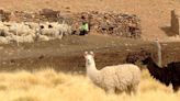 15 destinos junto a la frontera: qué visitar antes o después de salir de Argentina