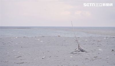 愛的最後一哩路／國外10張安樂死門票只有4人入場…台灣仍待凝聚共識