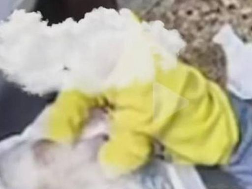 2歲男童拿毛巾摀新生兒妹妹臉！被發現瞬間裝無辜 媽媽：可能是覺得好玩