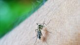 What to know about malaria