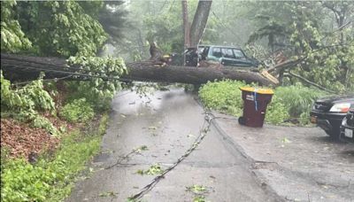 Tornado May Have Touched Down In Greenwood Lake During Round Of Severe Storms