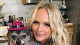 Miranda Lambert Joins World's Cutest Rescue Dog Contest as a Celebrity Judge