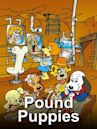 Pound Puppies