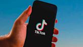 TikTok refuerza su buscador buscando ser la alternativa a Google - El Diario - Bolivia