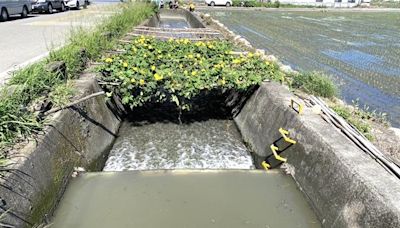 台中后里區重劃西路逢雨必淹 63年無主溝渠問題有解 - 臺中市