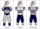 2003 New England Patriots season