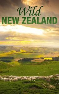 Wild New Zealand