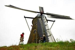 ‘Windmill love’ sees Dutch artist become mill operator | Fox 11 Tri Cities Fox 41 Yakima