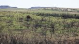 Three months after the Texas’ largest wildfire, Panhandle residents are preparing for the next one