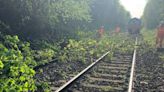 Scunthorpe: Trains disrupted after landslip blocks railway line