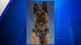 ISP K9 ‘Tora’ retires after 7 years of service