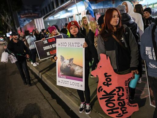 Letters to the Editor: Animal rights activists are overwhelmingly women. That doesn't reflect well on men
