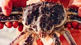 How America Lost Its King Crab Supremacy