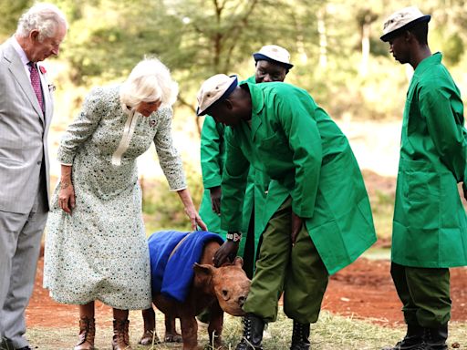 King and Queen’s trip to Kenya tops list of most expensive royal trips
