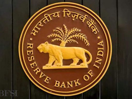 Climate moves up in domestic high risk category, says RBI's Financial Stability Report - ET BFSI