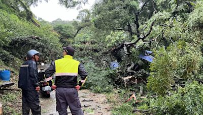 凱米颱風直撲馬祖 17件災情大多為路樹傾倒
