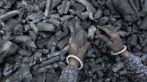 Coal gets free pass under electricity market reform