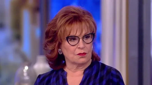 Why Was Joy Behar Fired From The View & GMA?