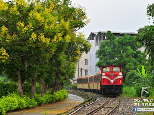 秋季限定！阿里山小火車同框滿竹自行車道 變色換裝欒樹吸睛