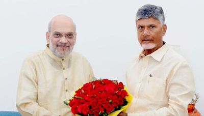 Why's Naidu Visiting Delhi Again?