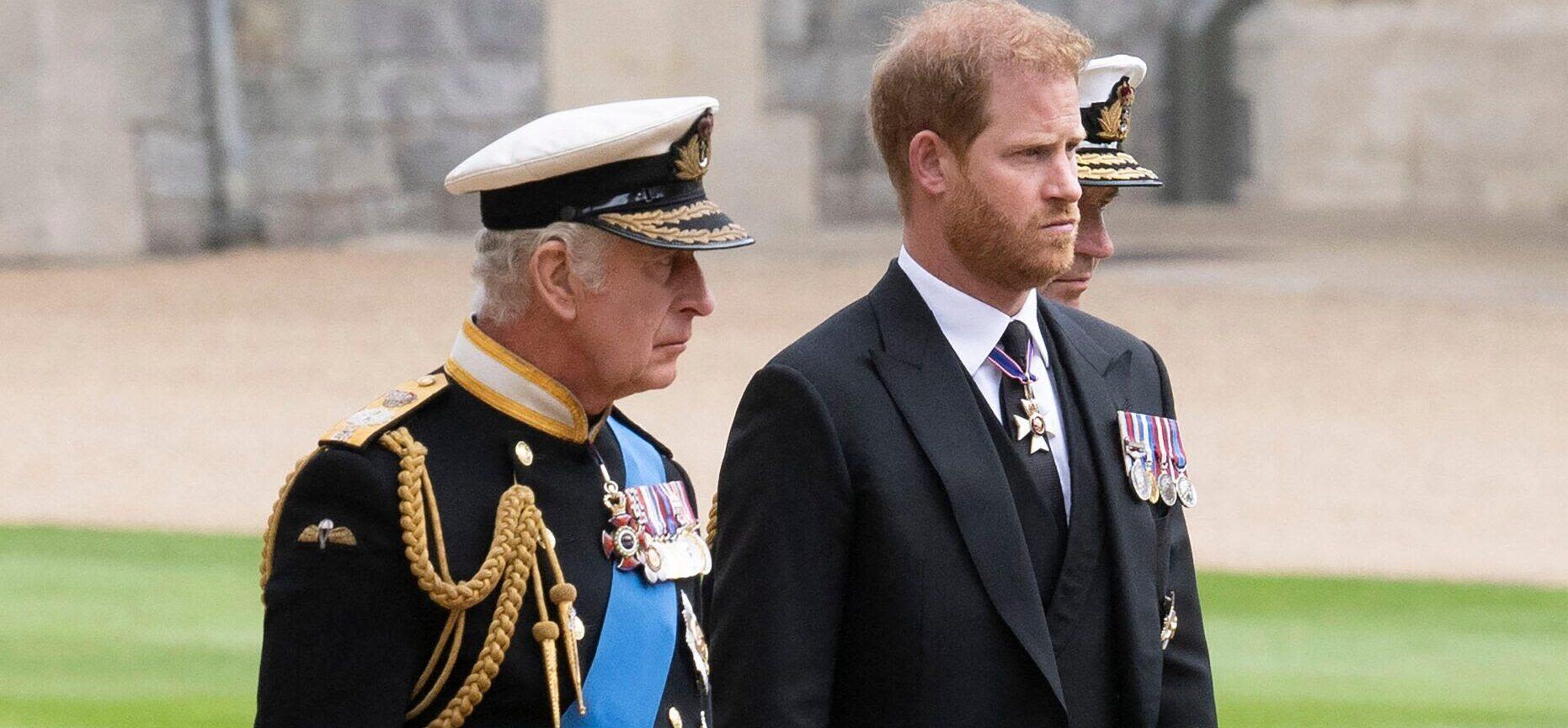 King Charles Reportedly Gives Prince Harry's Military Role To Prince William