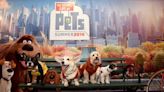 ChatGPT Ranks the Best Dog Movies