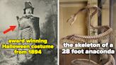 My Little Dumb Brain Is Totally Blown After Seeing These 20 Absolutely Fascinating Pictures For The First Time