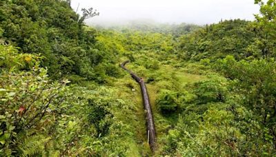 Could the answer to 100% renewable energy in Dominica be under the ground?