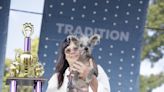 The ‘World’s Ugliest Dog’ contest has a new winner — meet Scooter