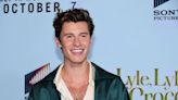 Shawn Mendes Lulls Fans to Sleep With New Bedtime Story—Listen Now