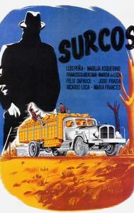 Surcos