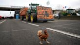 Why Europe's farmers are protesting