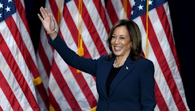 5 Forms of Stimulus That Americans Can Expect if Harris Wins the Election