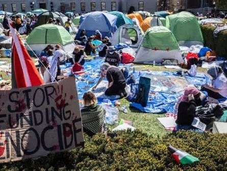 Dann wird der Studentenprotest in New York für Biden zum Problem