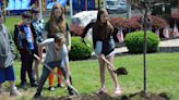 Made for the shade: Sheffield students plant town Arbor Day tree