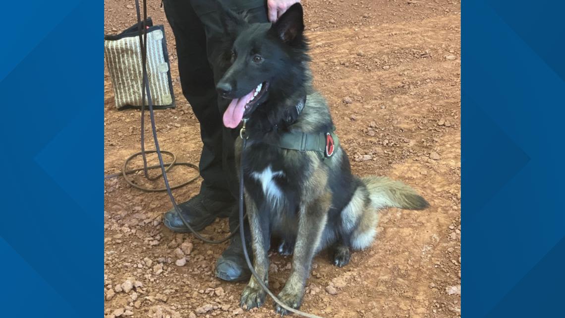 Abilene PD K9 officers win awards at US Police Canine Association Region 25 certifications