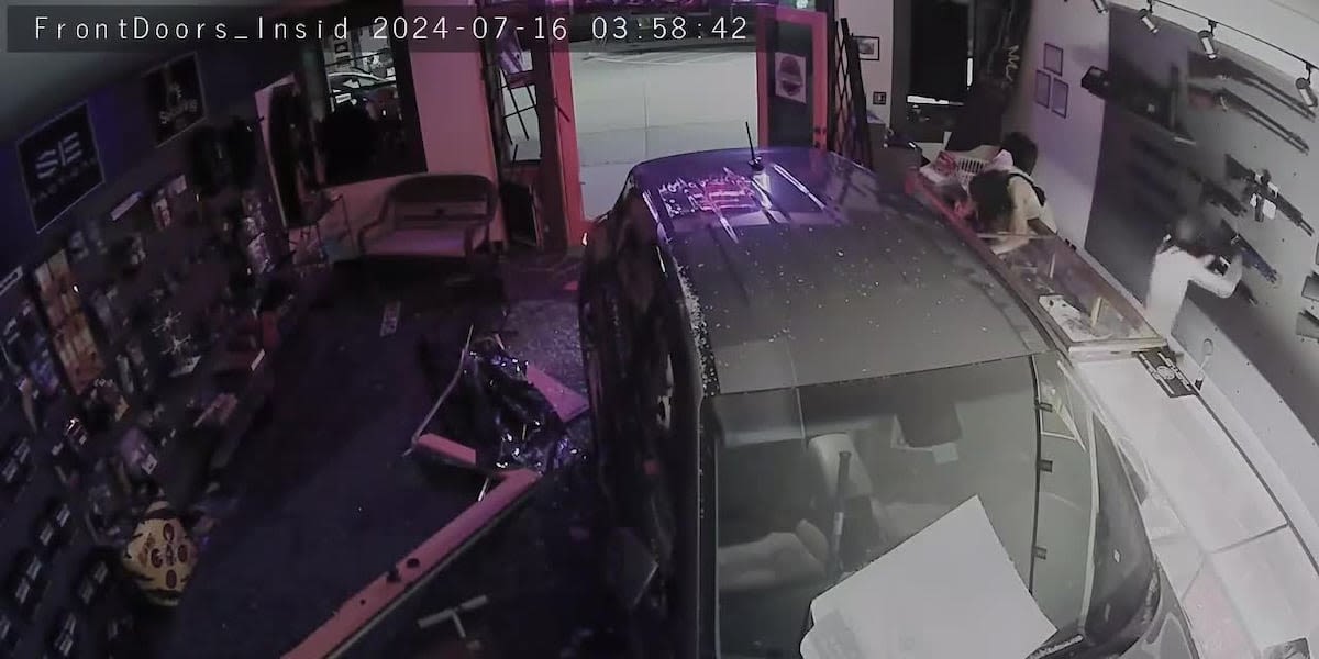 Thieves crash stolen car into gun store, steal thousands of dollars worth of firearms