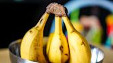 Why Bananas May be on the Brink of Extinction