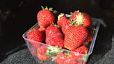 Hopkins County: Don’t eat fundraiser strawberries after child’s death