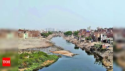 UP Pollution Control Board files case against Ghaziabad municipal commissioner for Hindon pollution | Ghaziabad News - Times of India