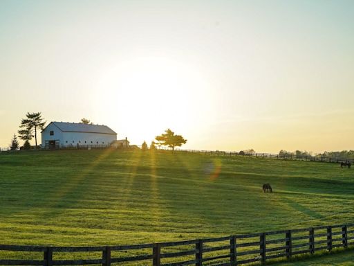 Successful farms begin with a roadmap to meet goals - plug and play is not the game plan