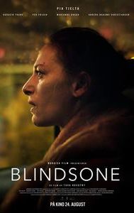 Blind Spot (2018 film)