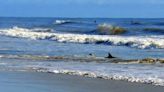 Shark bites Daytona man; third incident reported in New Smyrna Beach this year