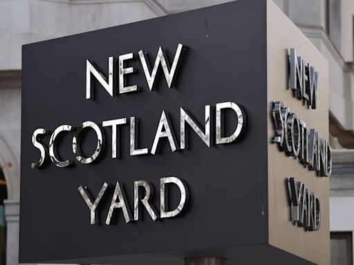 At least seven Met Police officers caught up in election gambling investigation