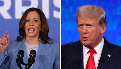 Donald Trump gets bad news about Kamala Harris