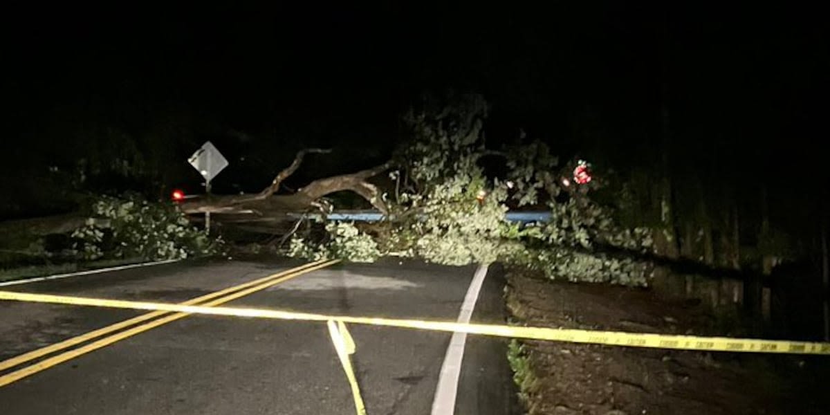 Overnight storms bring down trees, power lines around metro Atlanta