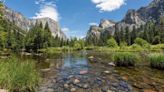 Bringing Back the Frogs of Yosemite