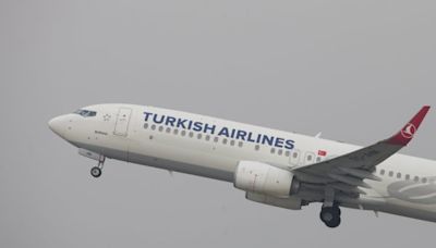 Turkish Airlines anuncia su llegada a Chile en diciembre: conectará Santiago y Estambul con cuatro vuelos semanales | Diario Financiero