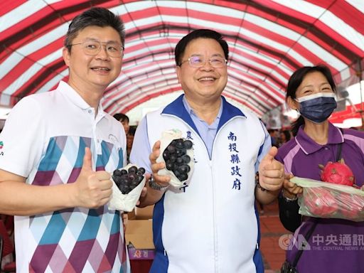 草屯巨峰葡萄新鮮上市 獨特氣候環境種出好味道